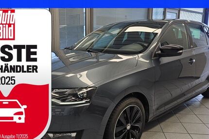 Skoda Rapid 123.403 km 10.300 € Wolfsburg-Heiligendorf 38444