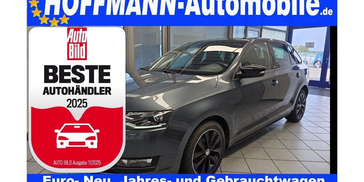 Skoda Rapid 123.403 km 10.300 € Wolfsburg-Heiligendorf 38444