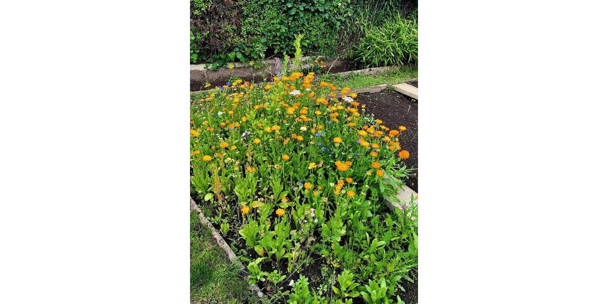 Grundstück Wolfsburg - 1.950&euro; | Angebot:26039327