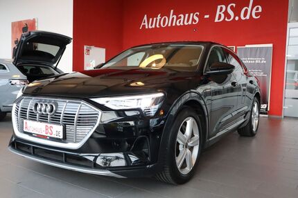 Audi e-tron 48.852 km 31.650 &euro; Braunschweig 38116