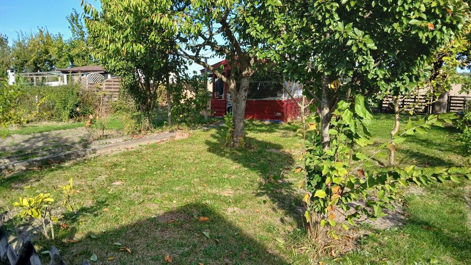 Grundstück Meine - 1.000&euro; | Angebot:26170648