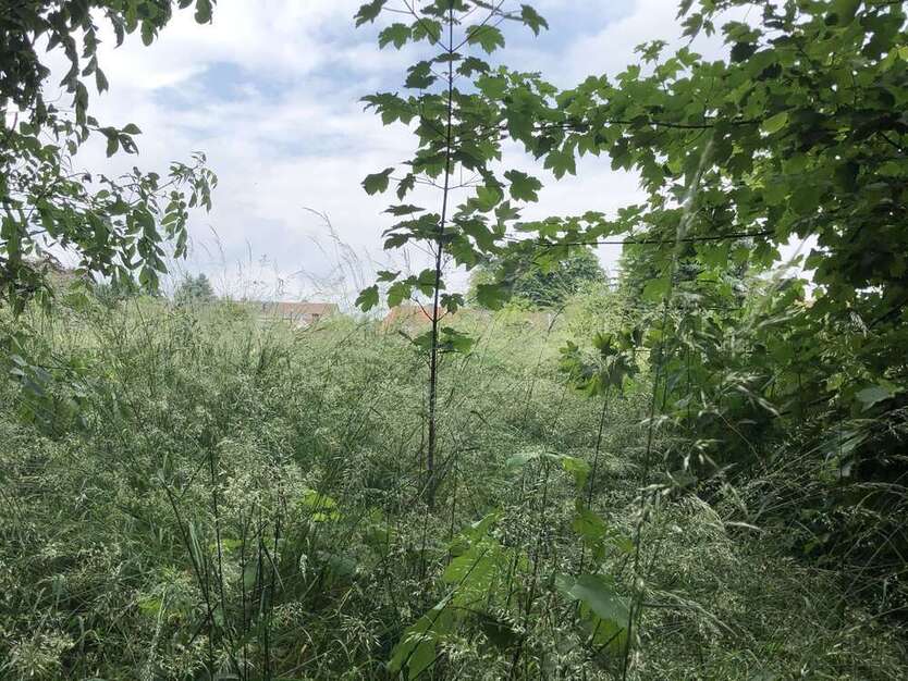 Grundstück zu verkaufen in Büddenstedt-Offleben 57.000 € 735 m²