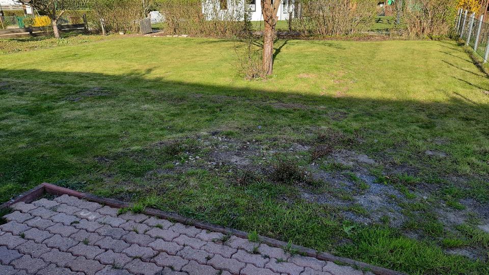 Grundstück Meine - 600&euro; | Angebot:26170647