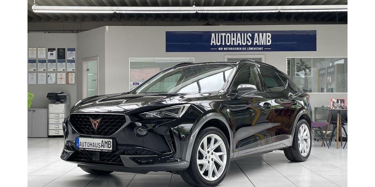 Cupra Formentor 82.853 km 21.600 &euro; Braunschweig 38122