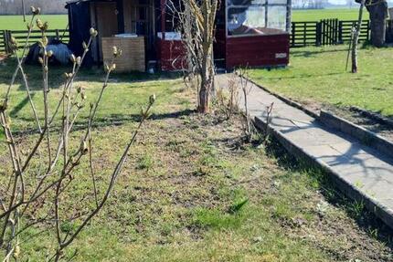 Grundstück Meine - 1.000&euro; | Angebot:26170648