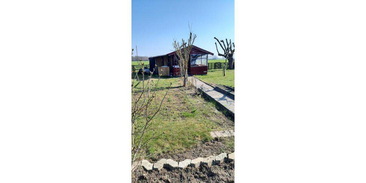 Grundstück Meine - 1.000&euro; | Angebot:26170648