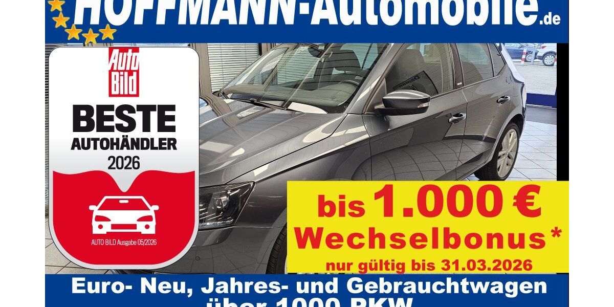 Skoda Fabia 117.834 km 10.400 &euro; Wolfsburg-Heiligendorf 38444