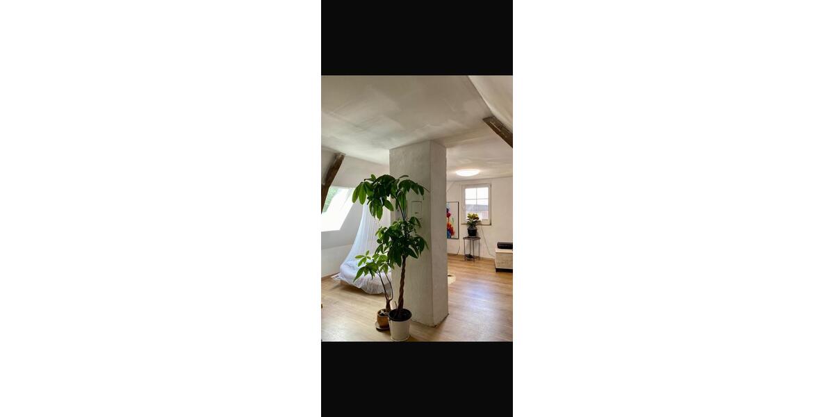 Einfamilienhaus Sassenburg - 2 Zimmer, 50 m&sup2;, 650&euro; | Angebot:26269266