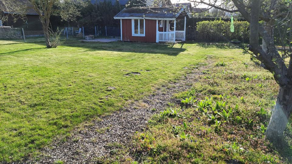 Grundstück Meine - 600&euro; | Angebot:26170647