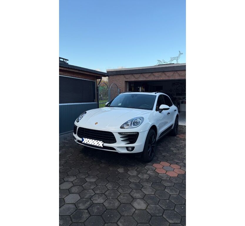 Macan