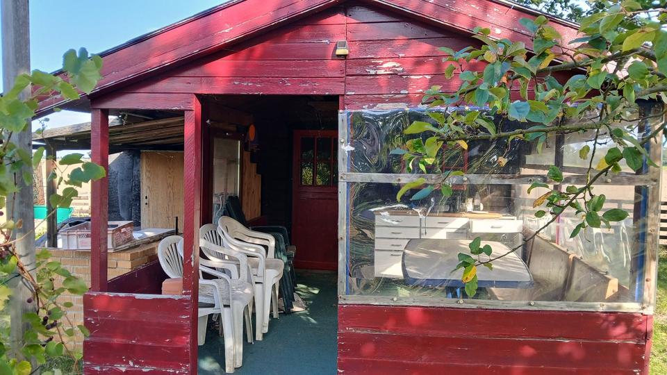 Grundstück Meine - 1.000&euro; | Angebot:26170648