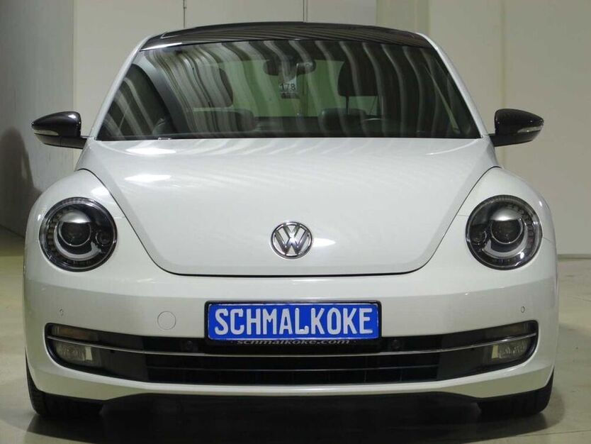 Beetle