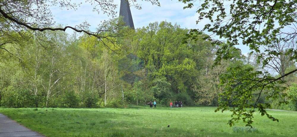 Etagenwohnung Wolfsburg Hohenstein - 2 Zimmer, 53 m&sup2;, 375&euro; | Angebot:25798692