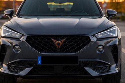 Cupra Formentor 123.000 km 20.750 &euro; Braunschweig 38126