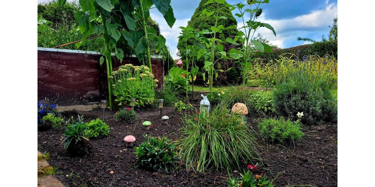 Grundstück Wolfsburg - 1.950&euro; | Angebot:26039327