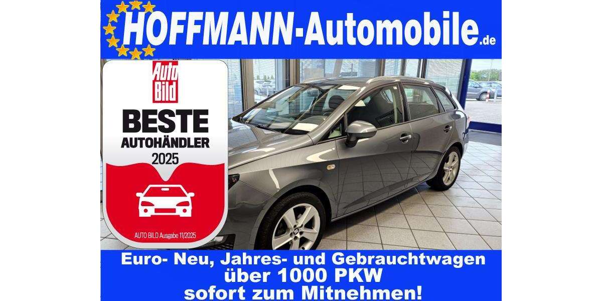 Seat Ibiza 197.000 km 3.400 € Wolfsburg Heiligendorf 38444