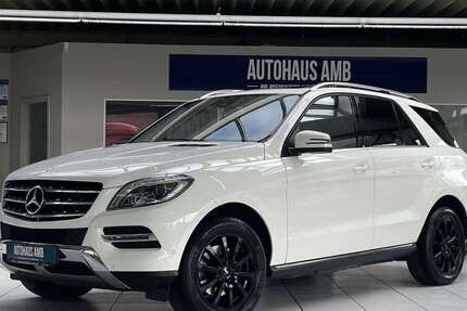 Mercedes-Benz ML 250 131.575 km 21.990 &euro; Braunschweig 38122