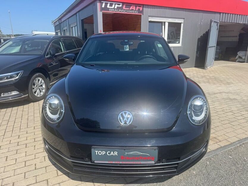 Beetle