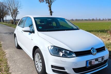VW Golf 149.437 km 7.000 &euro; Parsau 38470