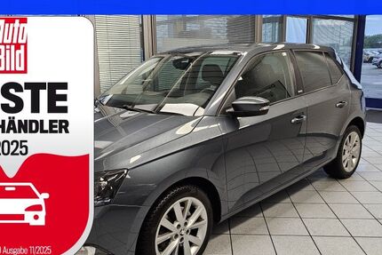 Skoda Fabia 49.579 km 15.300 € Wolfsburg-Heiligendorf 38444