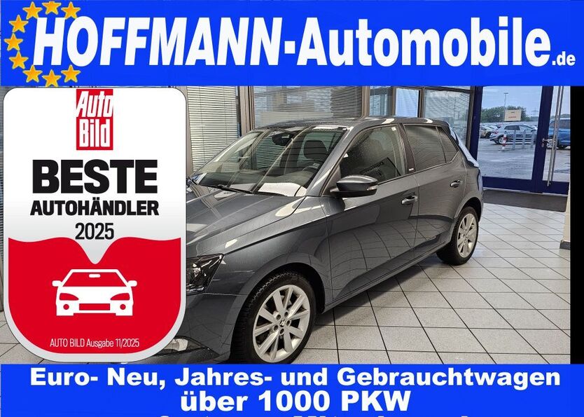 Skoda Fabia 49.579 km 15.300 € Wolfsburg-Heiligendorf 38444
