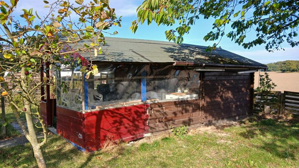 Grundstück Meine - 1.000&euro; | Angebot:26170648