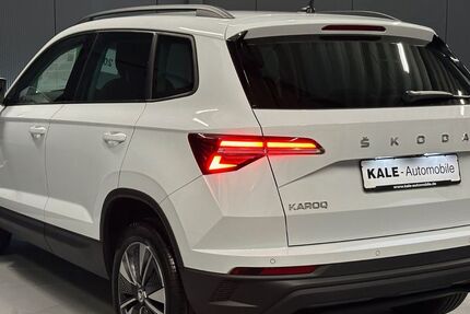 Skoda Karoq 96.750 km 23.490 &euro; Helmstedt 38350