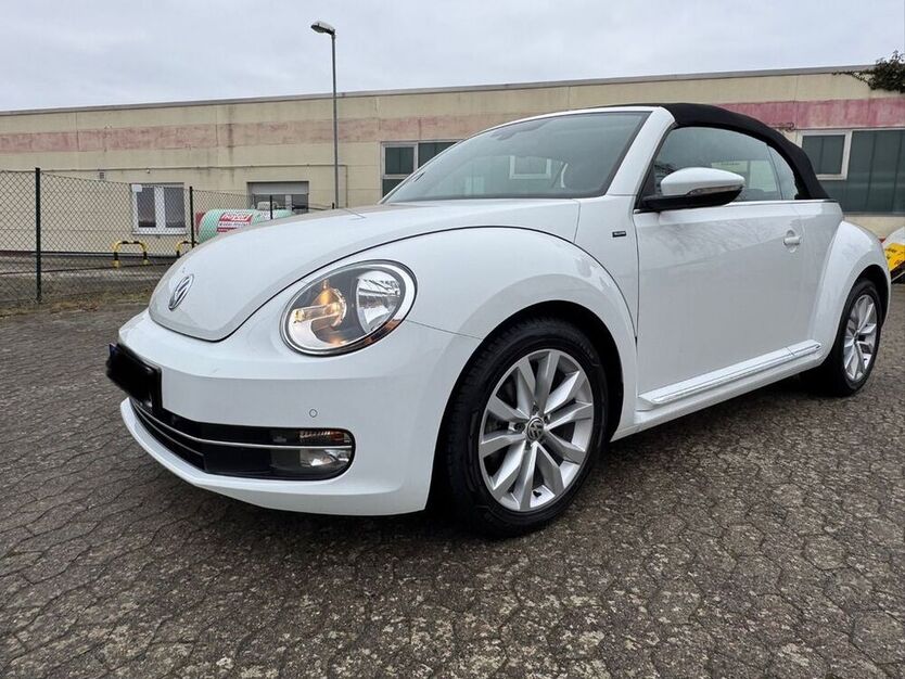 Beetle