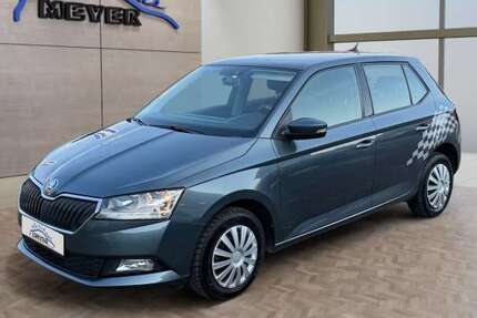 Skoda Fabia 86.802 km 8.910 &euro; Sickte 38173
