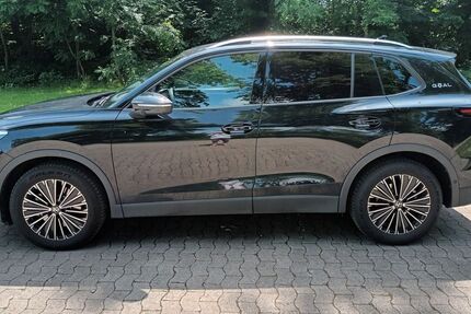 VW Tiguan 15.000 km 35.500 &euro; Lehre 38165