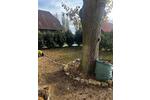 Mehrfamilienhaus, Wohnhaus Lehre - 5 Zimmer, 190 m&sup2;, 1.820&euro; | Angebot:24564553