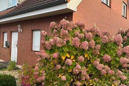 Niedrig Energie, Reihenendhaus Erbaut 112001 in BS Wenden 5 zimmer