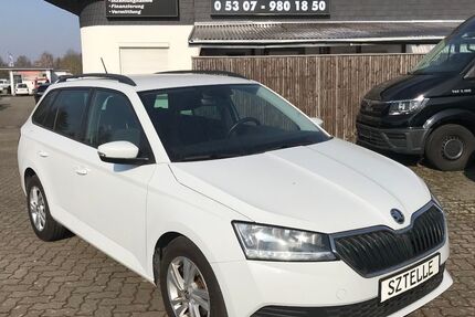 Skoda Fabia 180.167 km 8.999 € Braunschweig 38110