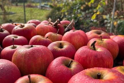 Grundstück Braunschweig Westliches Ringgebiet - 1.670&euro; | Angebot:24658041