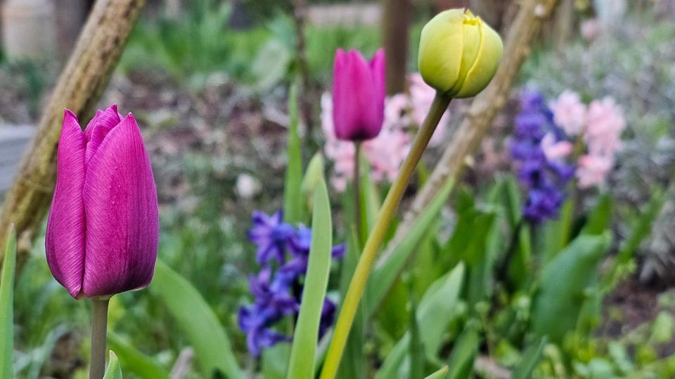 Einfamilienhaus Wolfsburg Ehmen - 12.700&euro; | Angebot:26153411