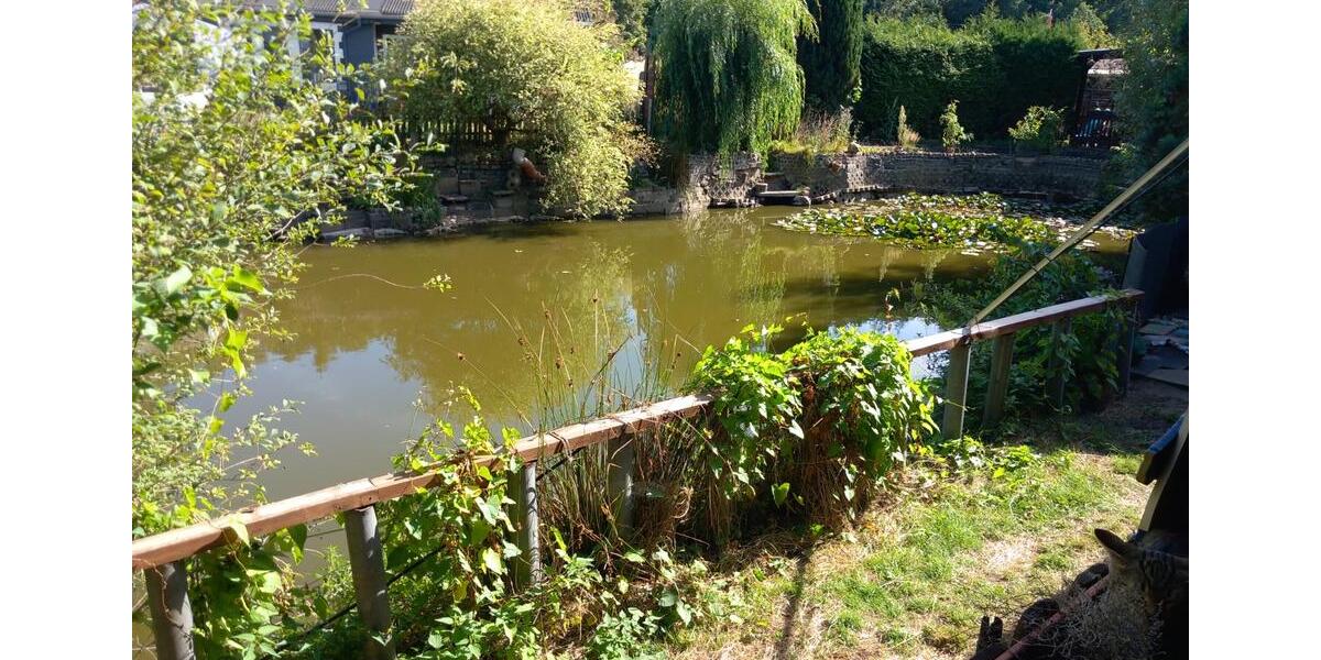 Einfamilienhaus Gifhorn - 2 Zimmer, 46 m&sup2;, 23.500&euro; | Angebot:25263178