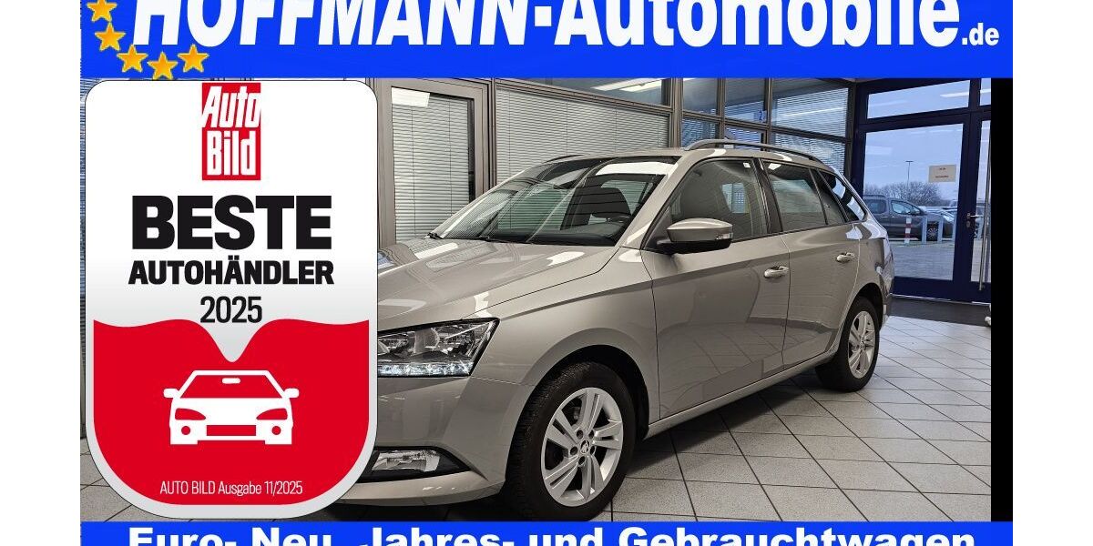 Skoda Fabia 123.062 km 10.490 &euro; Wolfsburg-Heiligendorf 38444