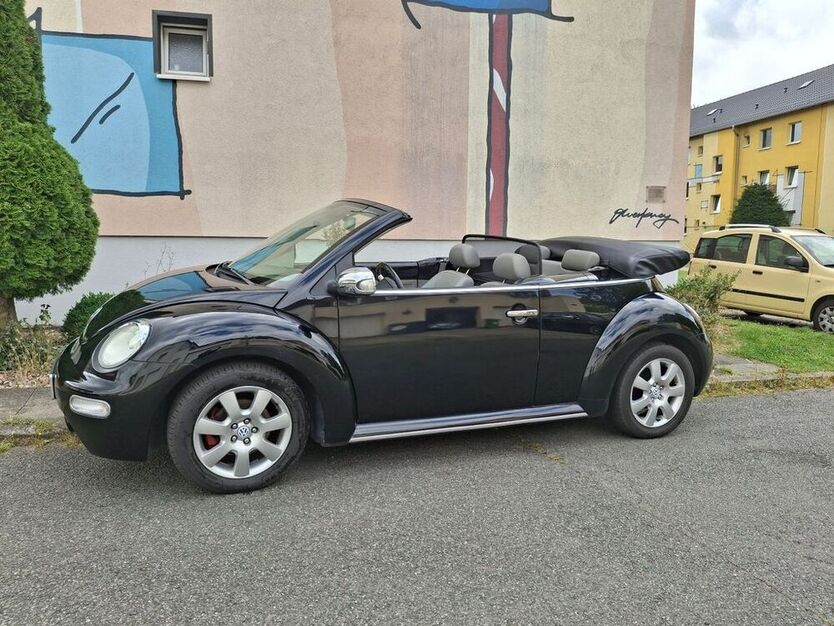Beetle