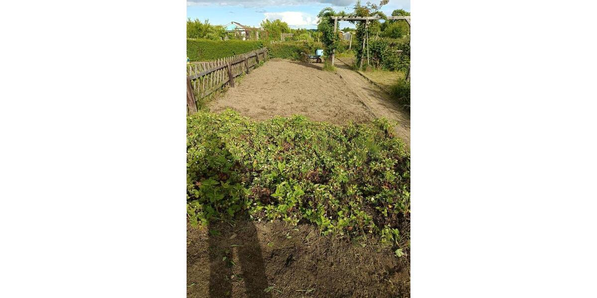 Grundstück Cremlingen - 500&euro; | Angebot:26618162