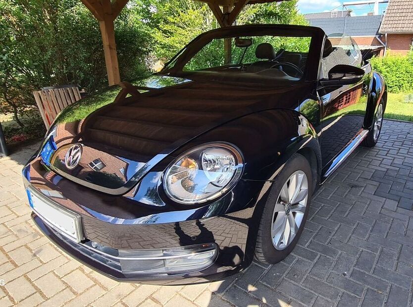 Beetle