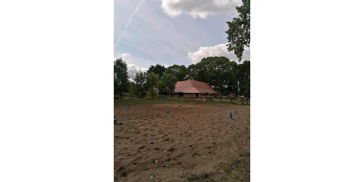 Dachgeschoßwohnung Oebisfelde-Weferlingen Weferlingen - 2 Zimmer, 100 m&sup2;, 700&euro; | Angebot:26579667