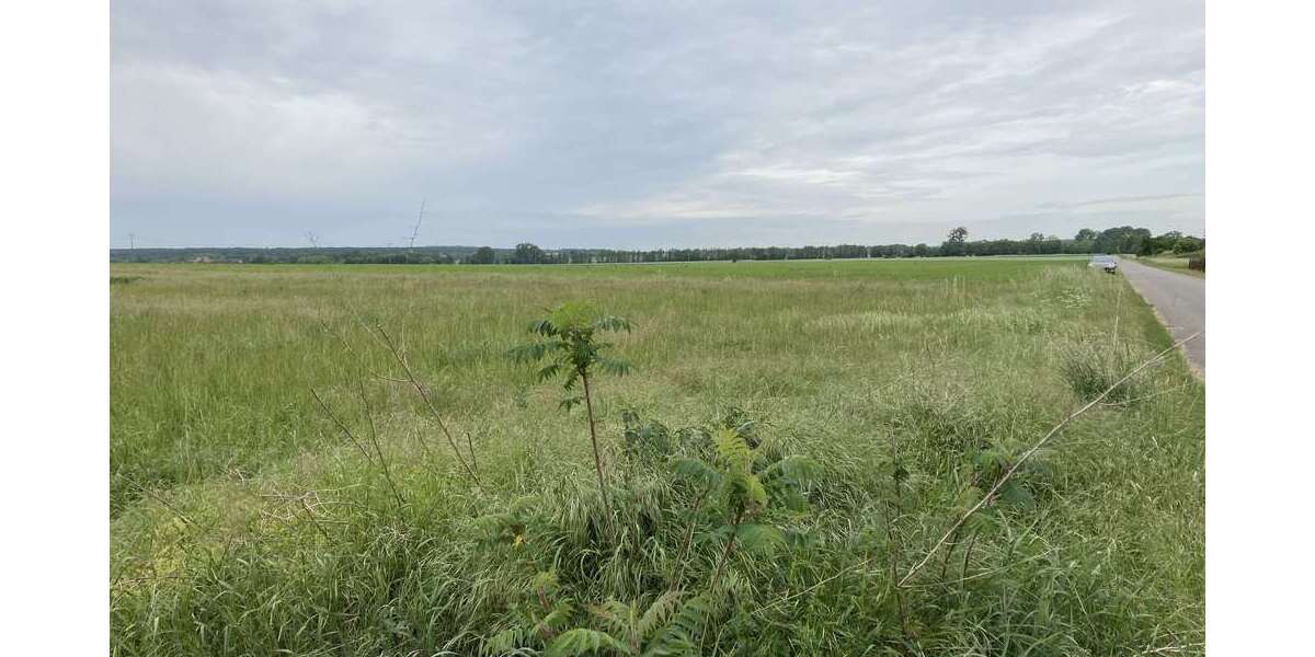 Grundstück zu verkaufen in Siestedt 99.000 € 10000 m² zimmer