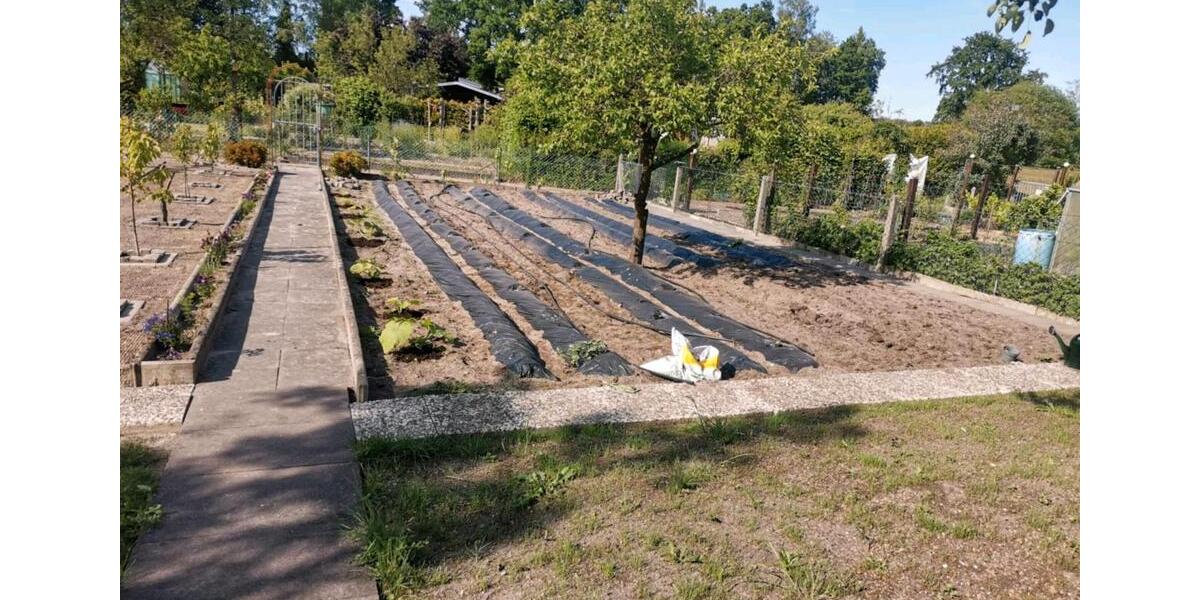 Grundstück Calberlah - 1.800&euro; | Angebot:23584954