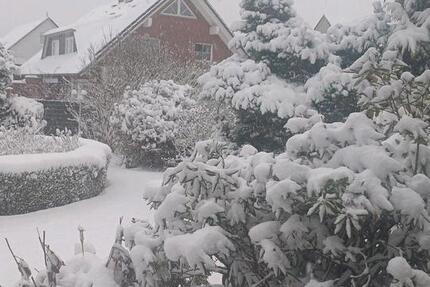 3 zi Wohnung im 2 Familienhaus 3 zimmer