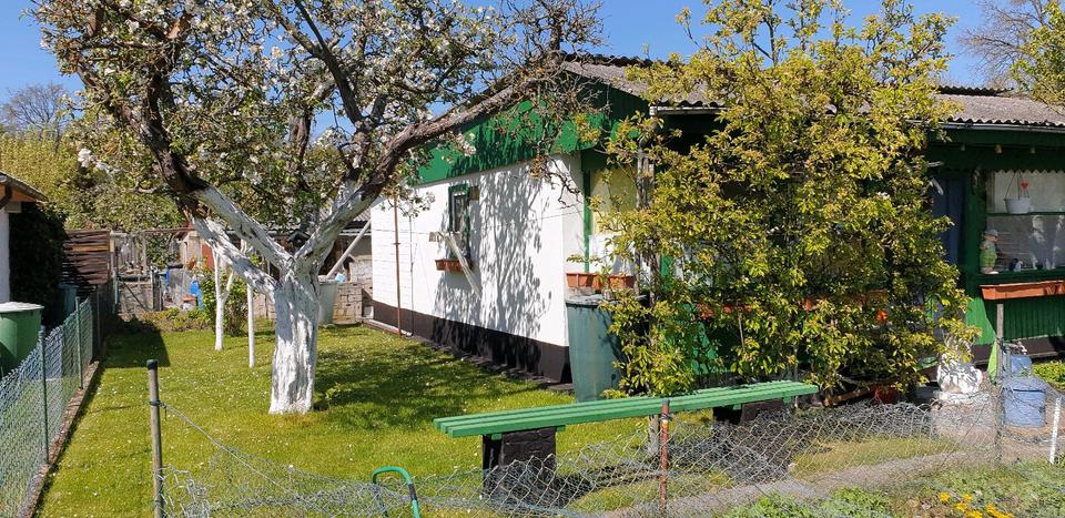 Grundstück Gifhorn - 3.400&euro; | Angebot:26419428