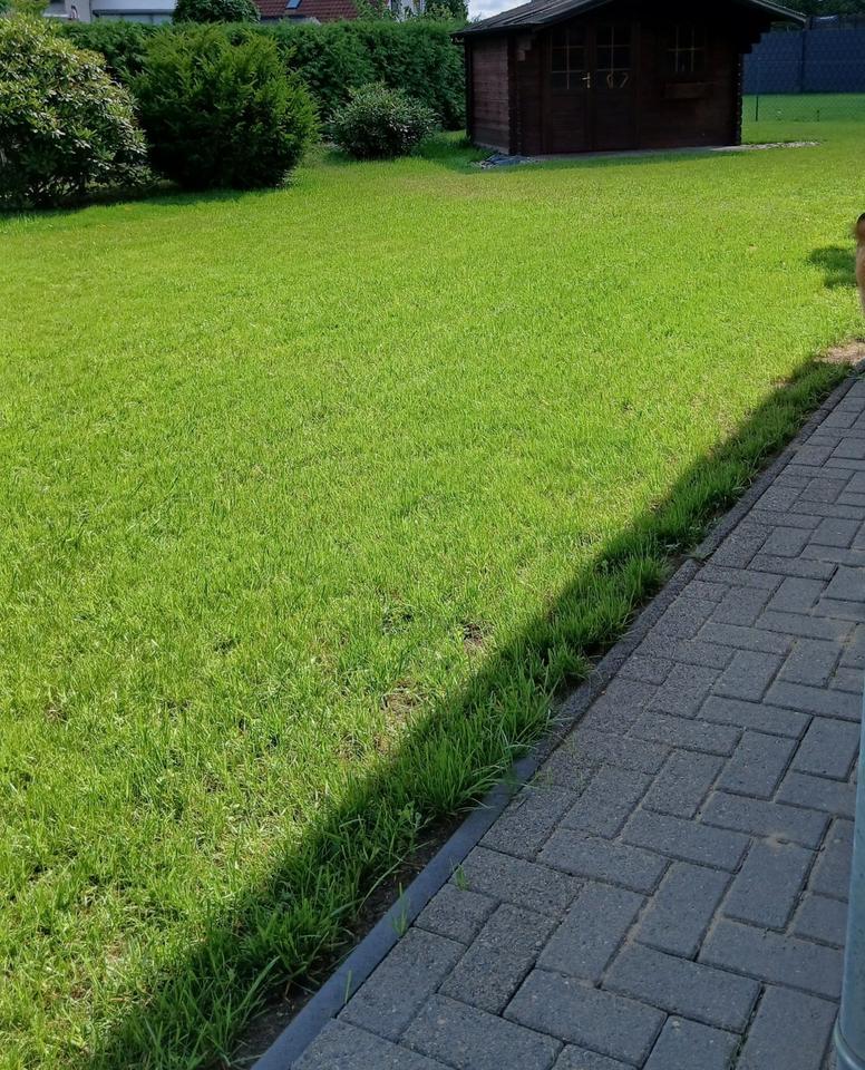 EFH - wohnen auf einer Ebene (ohne Provision)