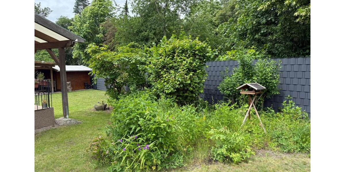 Doppelhaushälfte Gifhorn - 5 Zimmer, 100 m&sup2;, 340.000&euro; | Angebot:26966101