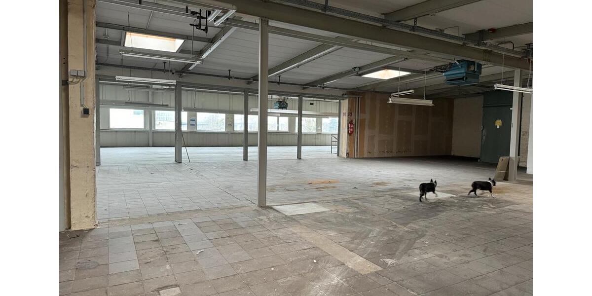 Gewerbeobjekt Wolfsburg Ehmen - 8&euro; | Angebot:19918397