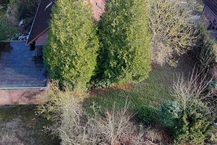 Haus Meinersen - 5 Zimmer, 129 m&sup2;, 389.000&euro; | Angebot:25967673