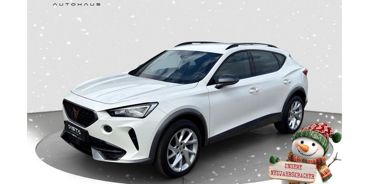 Cupra Formentor 129.921 km 21.600 &euro; Braunschweig 38122